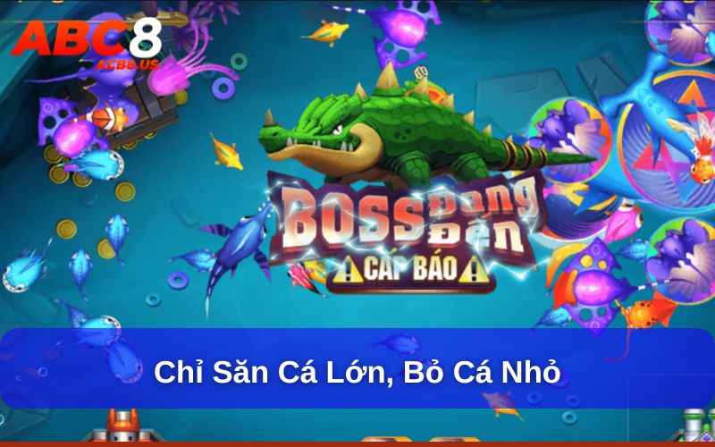 Chỉ săn cá lớn, bỏ cá nhỏ