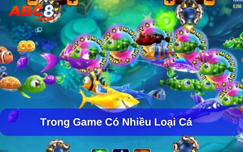 Trong game có nhiều loại cá với kích thước khác nhau