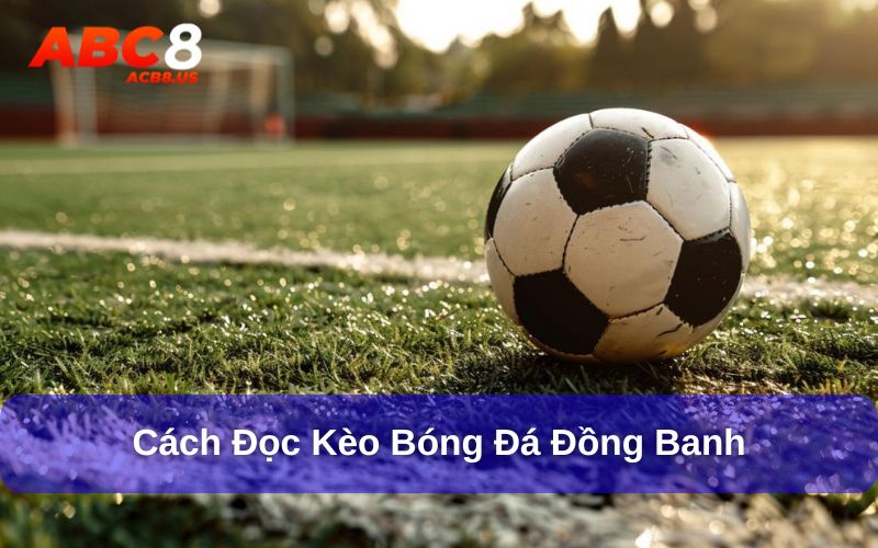 Cách Đọc Kèo Bóng Đá - 9 Kèo Bóng Đá Phổ Biến Nhất Cách đọc kèo bóng đá đồng banh đơn giản