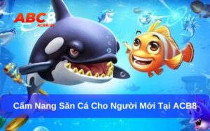Cẩm nang săn cá dành cho người mới tại ACB8