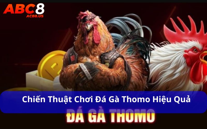 Tìm Hiểu Thông Tin Đá Gà Thomo Từ A Đến Z Chi Tiết Nhất Chiến thuật chơi đá gà thomo hiệu quả