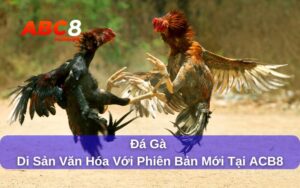 Đá gà được xem là di sản văn hóa truyền thống Việt Nam