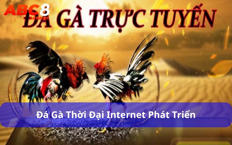Tìm Hiểu Thông Tin Đá Gà Thomo Từ A Đến Z Chi Tiết Nhất Đá gà thời đại internet phát triển