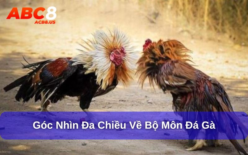Góc nhìn đa chiều về bộ môn đá gà
