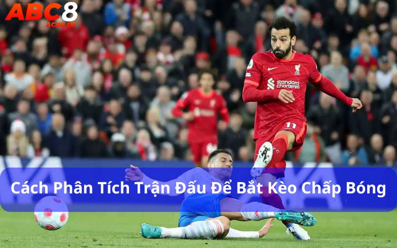 Phân tích trận đấu kỹ lưỡng để đưa ra quyết định đúng đắn